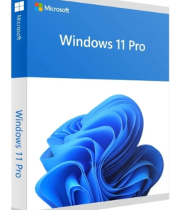 Windows 11 Professional